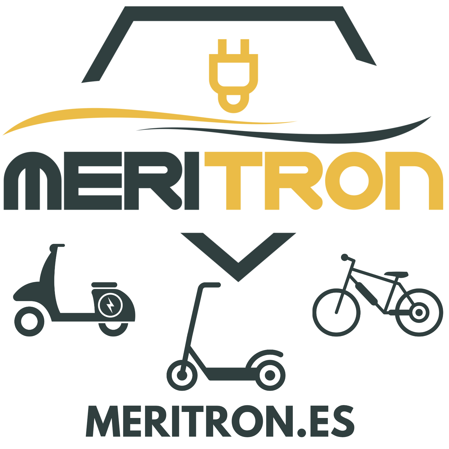 MERITRON