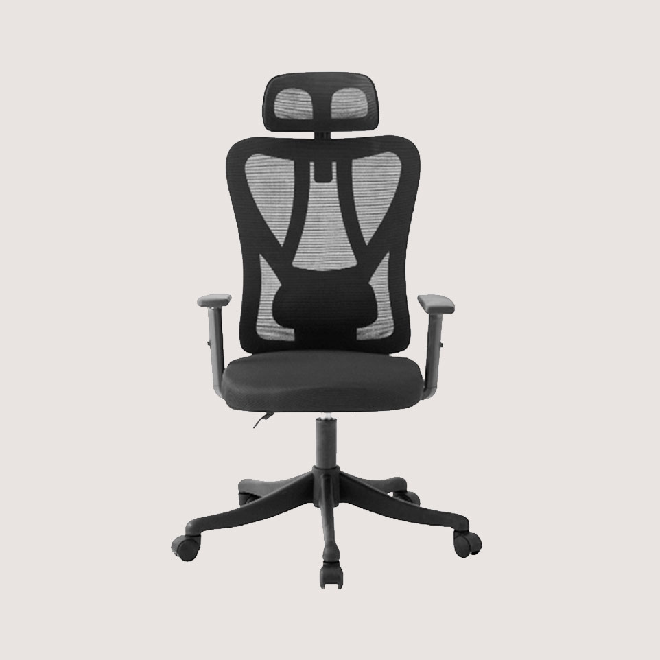 Silla Ergo Roma