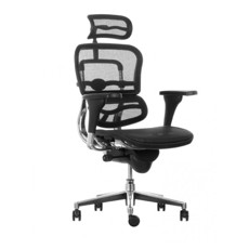 Silla Ergohuman Full Malla