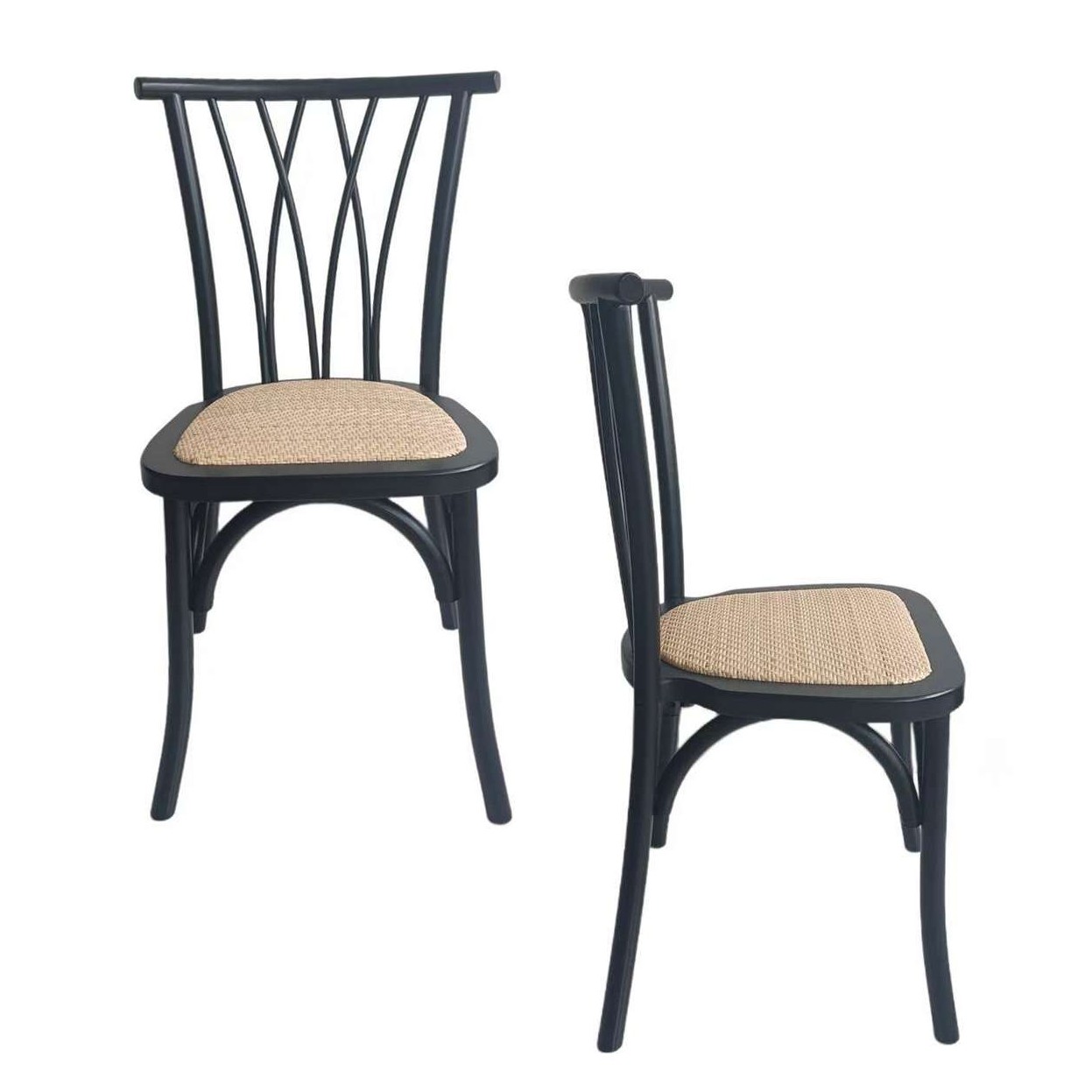 Silla Andes