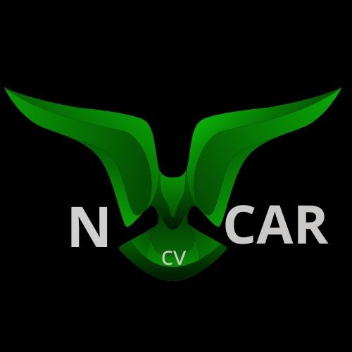 NICAR CV