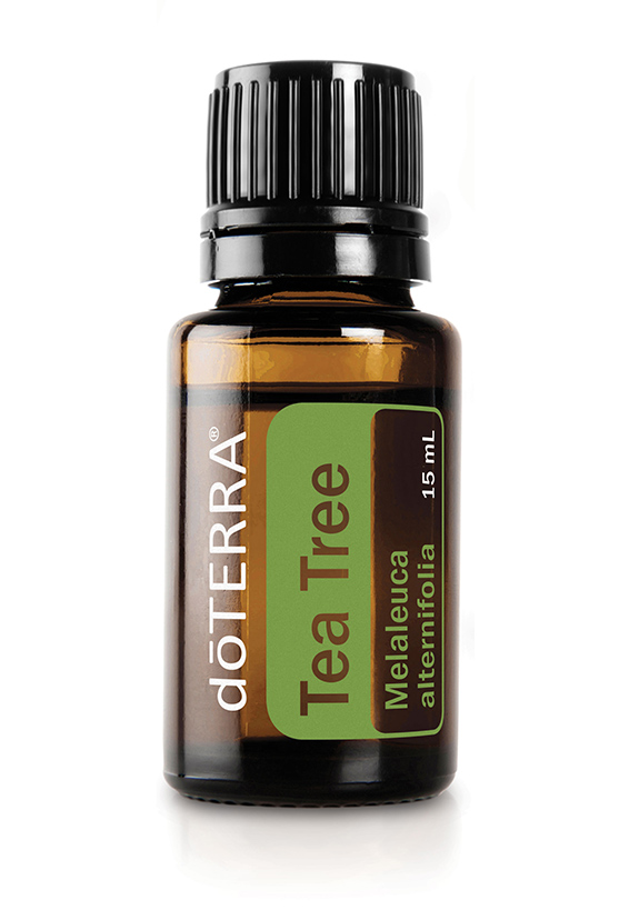 Aceite esencial doTerra  Melaleuca  (Árbol del Té) 15 ml | Vive Esencial