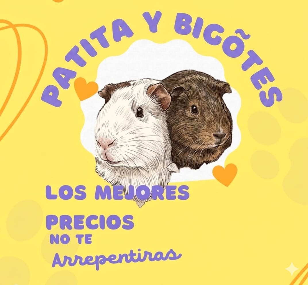 pequeños amigos