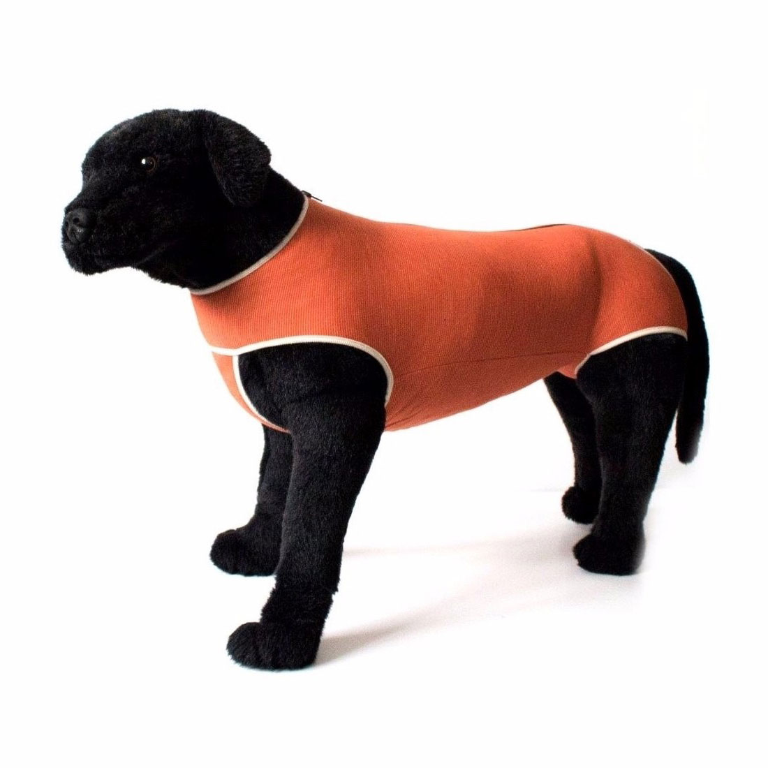 Body Cobre Castracion Perro Gato (Macho) Desde