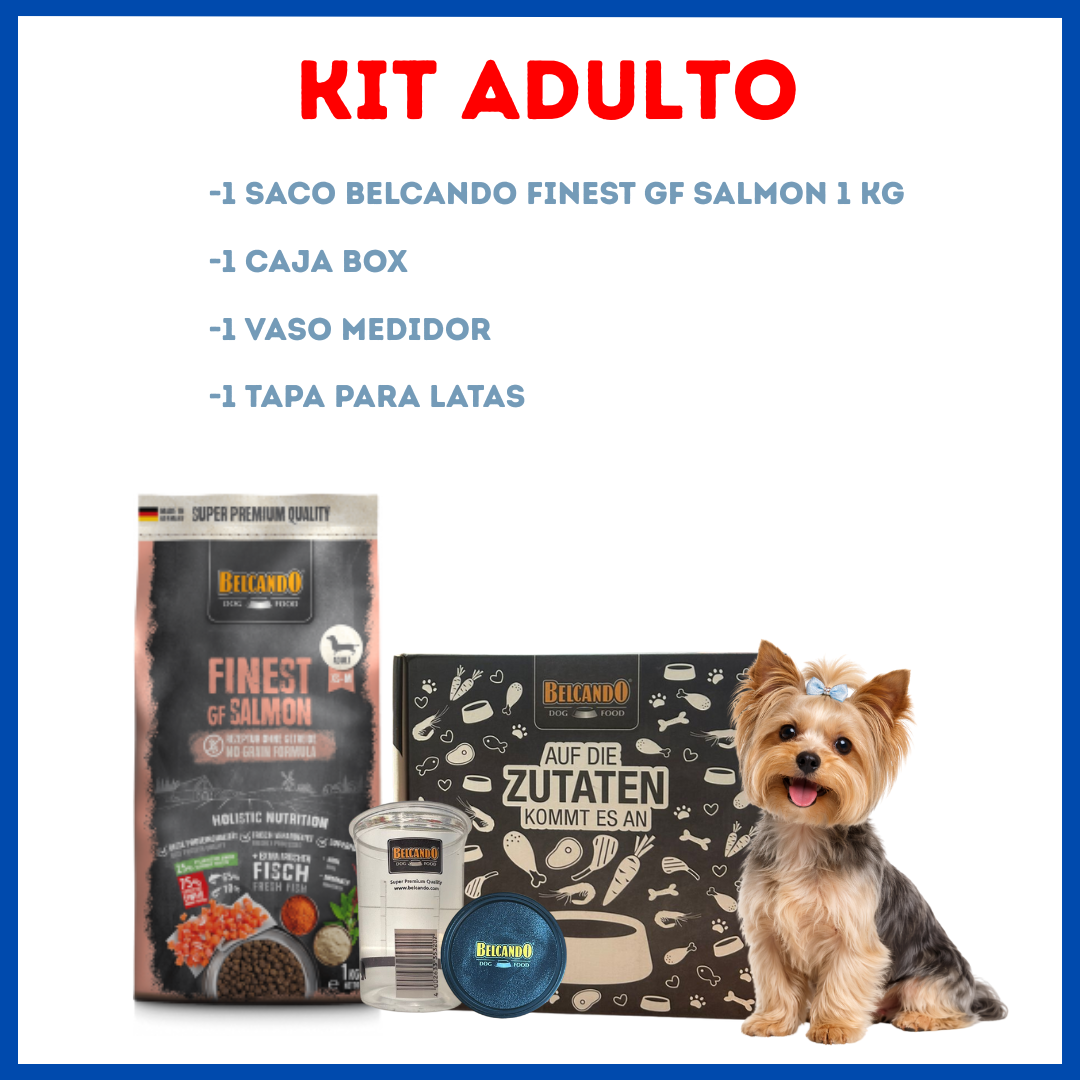Belcando Finest Gf Salmon 1 Kg