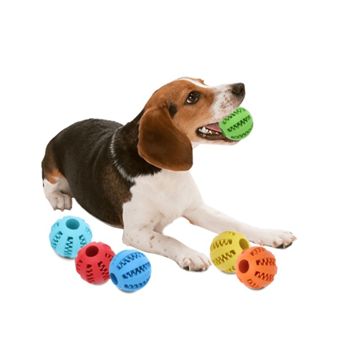 Juguete Interactivo Bola Con Dientes