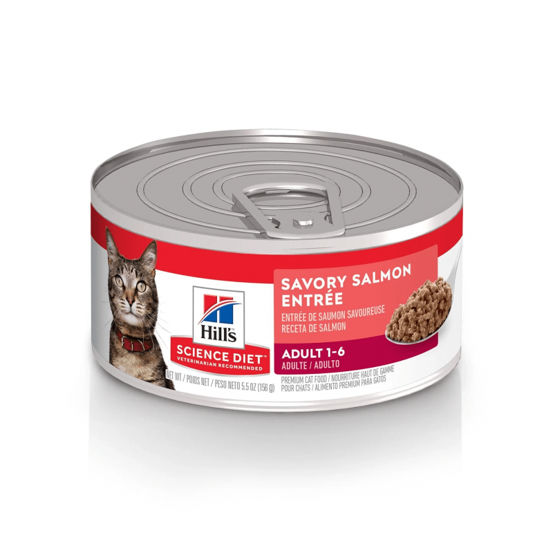 Hills Lata Adult Savory Salmon Entree Feline 156 Gr