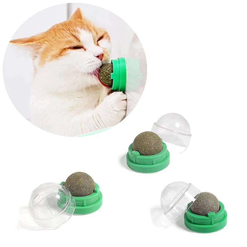Juguete Bola de Catnip Giratoria Adhesiva para pared 1 u