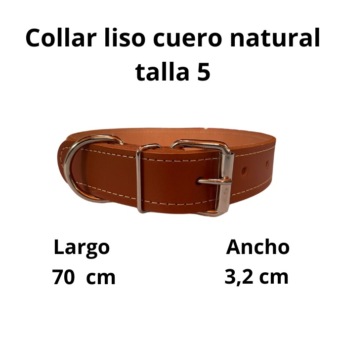 Collar de cuero liso talla 5