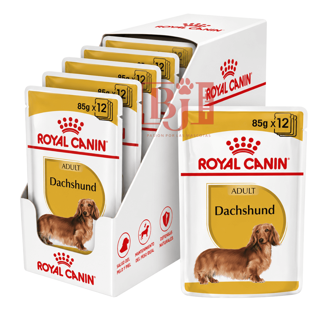 Royal Canin Dachshund Pouch 85 Gr Pack 12 Und