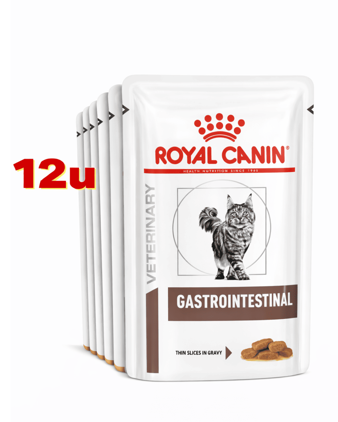 Royal Canin Gastrointestinal 85 Gr. Pack 12 Und
