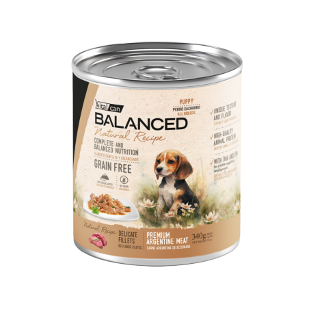 Natural Recipe Lata Filetes Carne Perro Cachorro 340 Gr
