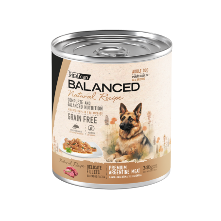 Natural Recipe Lata Filetes Carne Perro Adulto 340 Gr