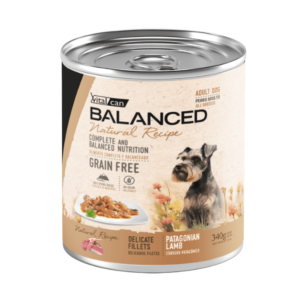 Natural Recipe Lata Filetes Cordero Perro Adulto 340 Gr