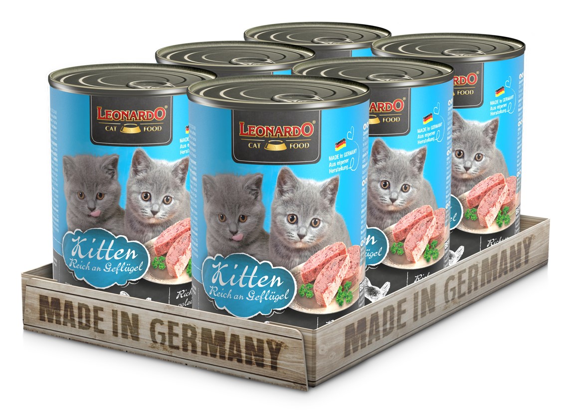 Pack 6 Latas Leonardo Qs Kitten 400 Gr