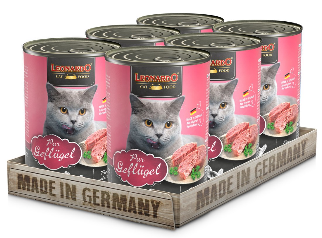 Pack 6 Latas Leonardo Qs Ave 400 Gr