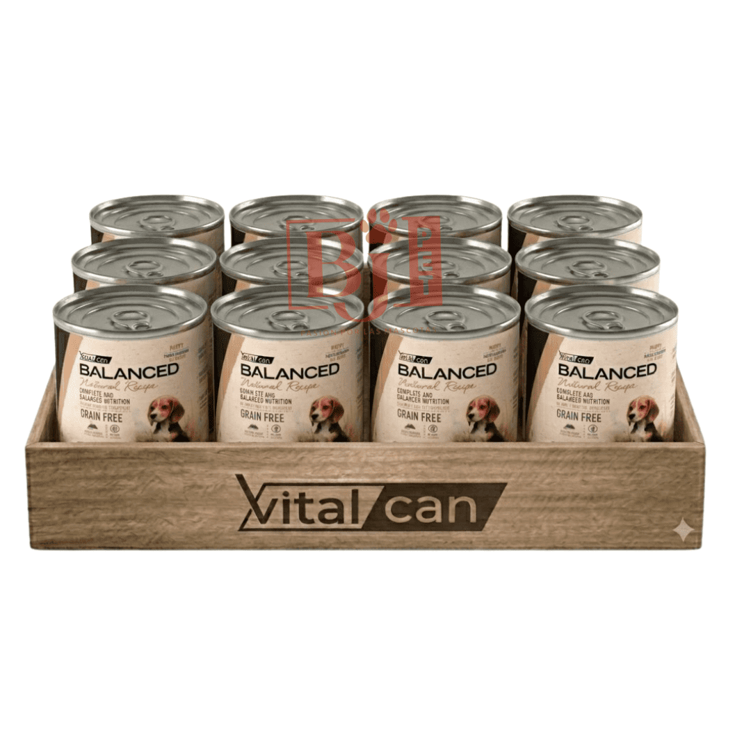 Pack 12 Latas Natural Recipe Filetes Carne Perro Cachorro 340 Gr