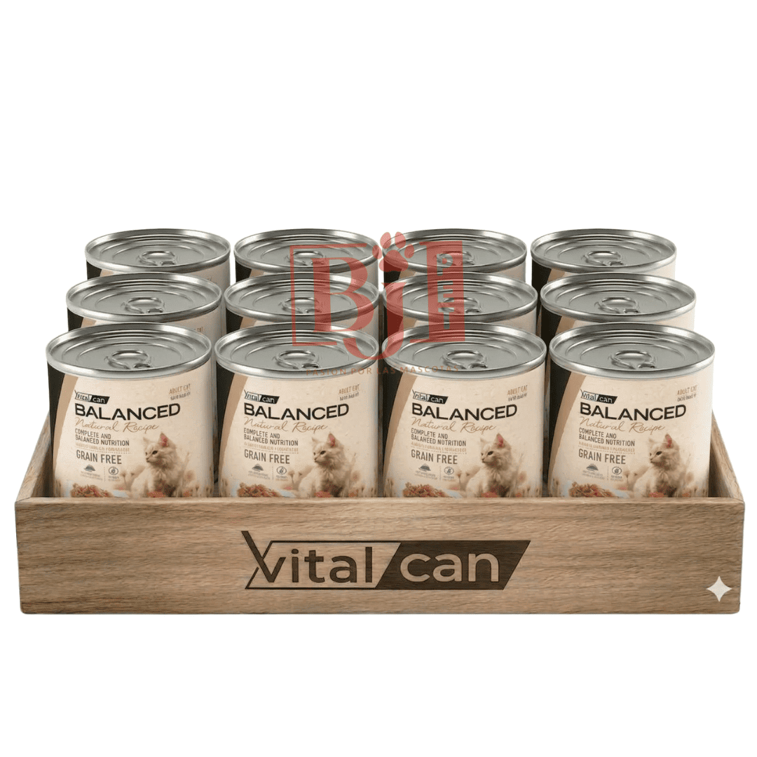 Pack 12 Latas Natural Recipe Filetes Carne Gato Adulto 340 Gr