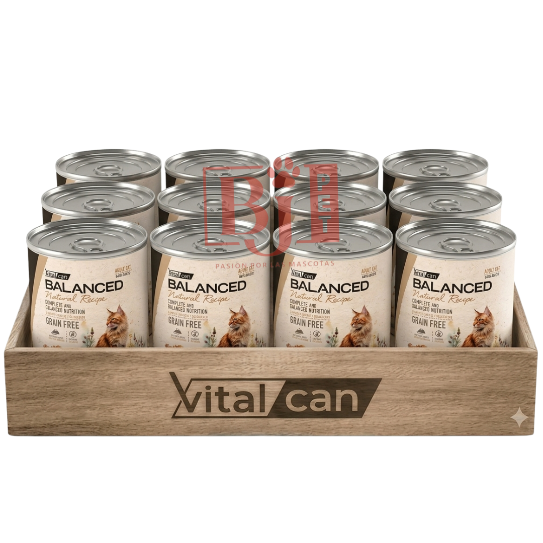 Pack 12 Latas Natural Recipe Filetes Salmon Y Cordero Gato Adulto 340 Gr