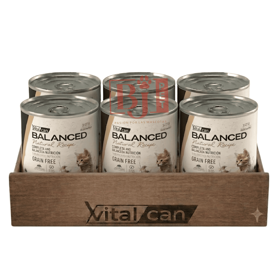 Pack 6 Latas Natural Recipe Filetes Carne Gato Adulto 340 Gr