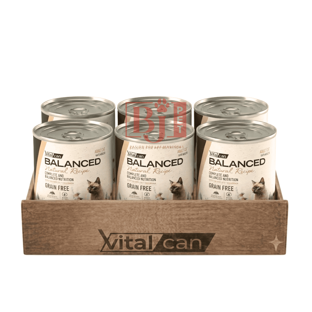 Pack 6 Latas Natural Recipe Filetes Pollo Gato Adulto 340 Gr
