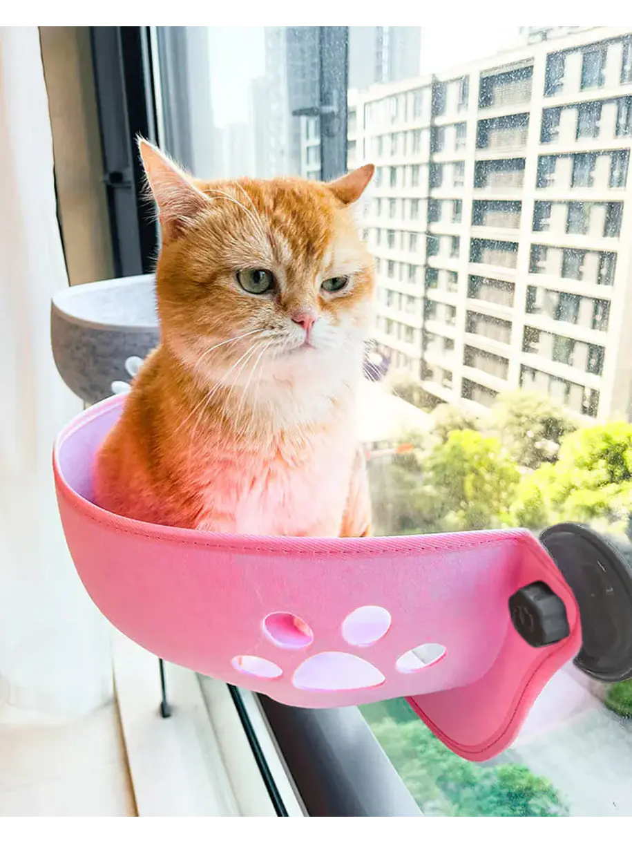 Nido Felino Colgante Con Ventosas Para Ventana