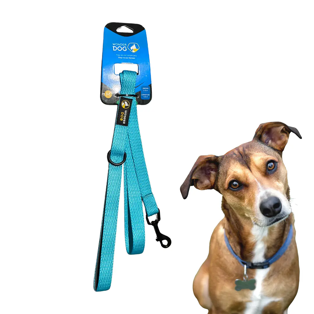 Correa Para Paseos De Nylon Extra Firme Talla S