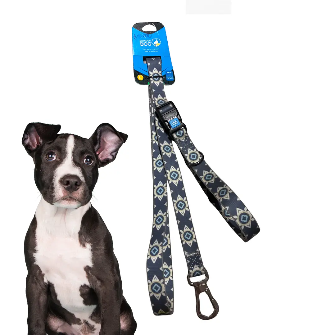 Correa Para Paseos Impermeable Talla L