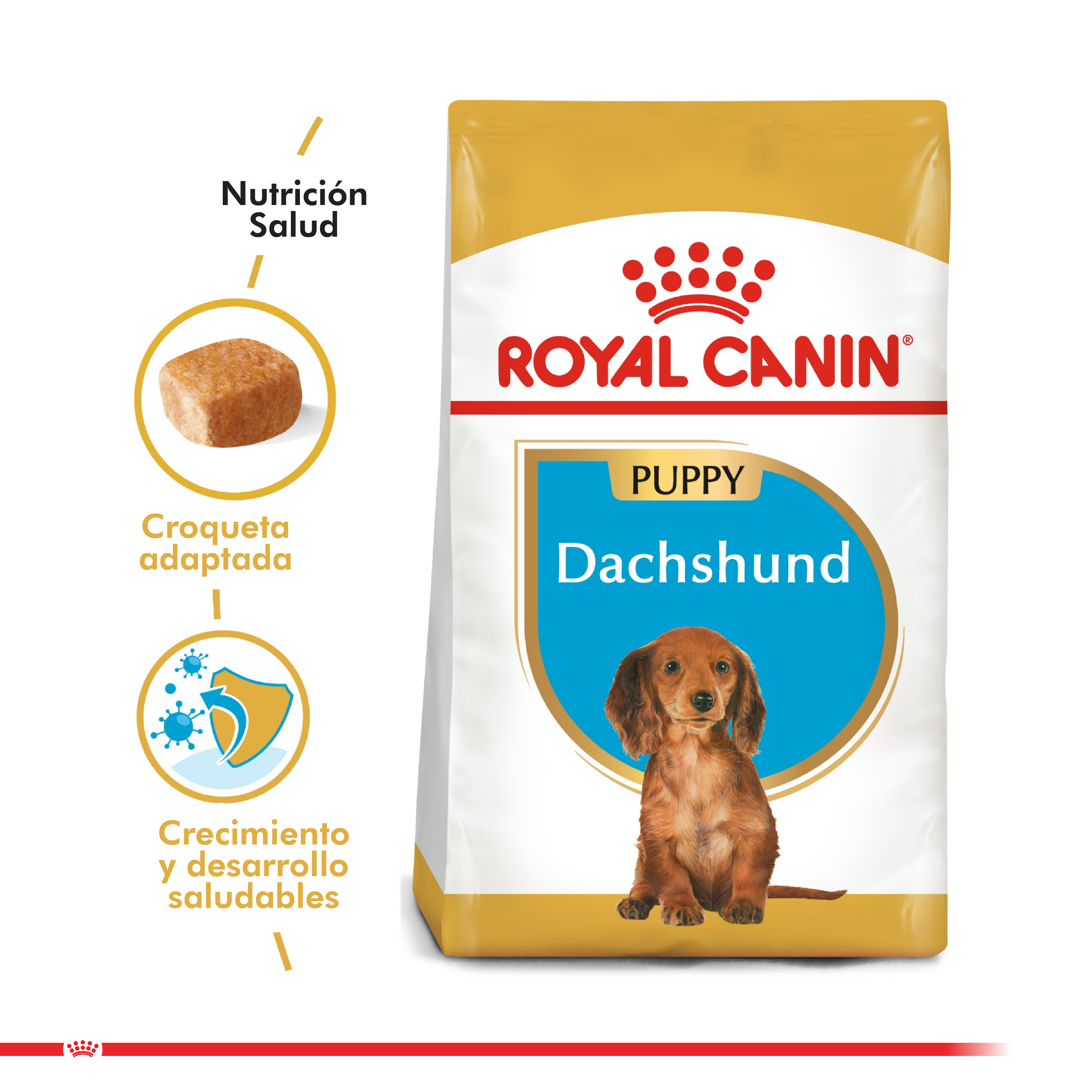 Royal Canin Dachshund Puppy 2.5 Kg