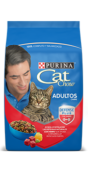 Cat Chow Adultos Carne 1 Kg.
