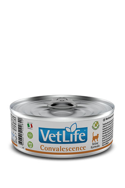 Vet Life Feline Convalescense 85 Gr.