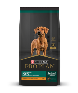 Pro Plan Puppy Razas Grandes 15 kg