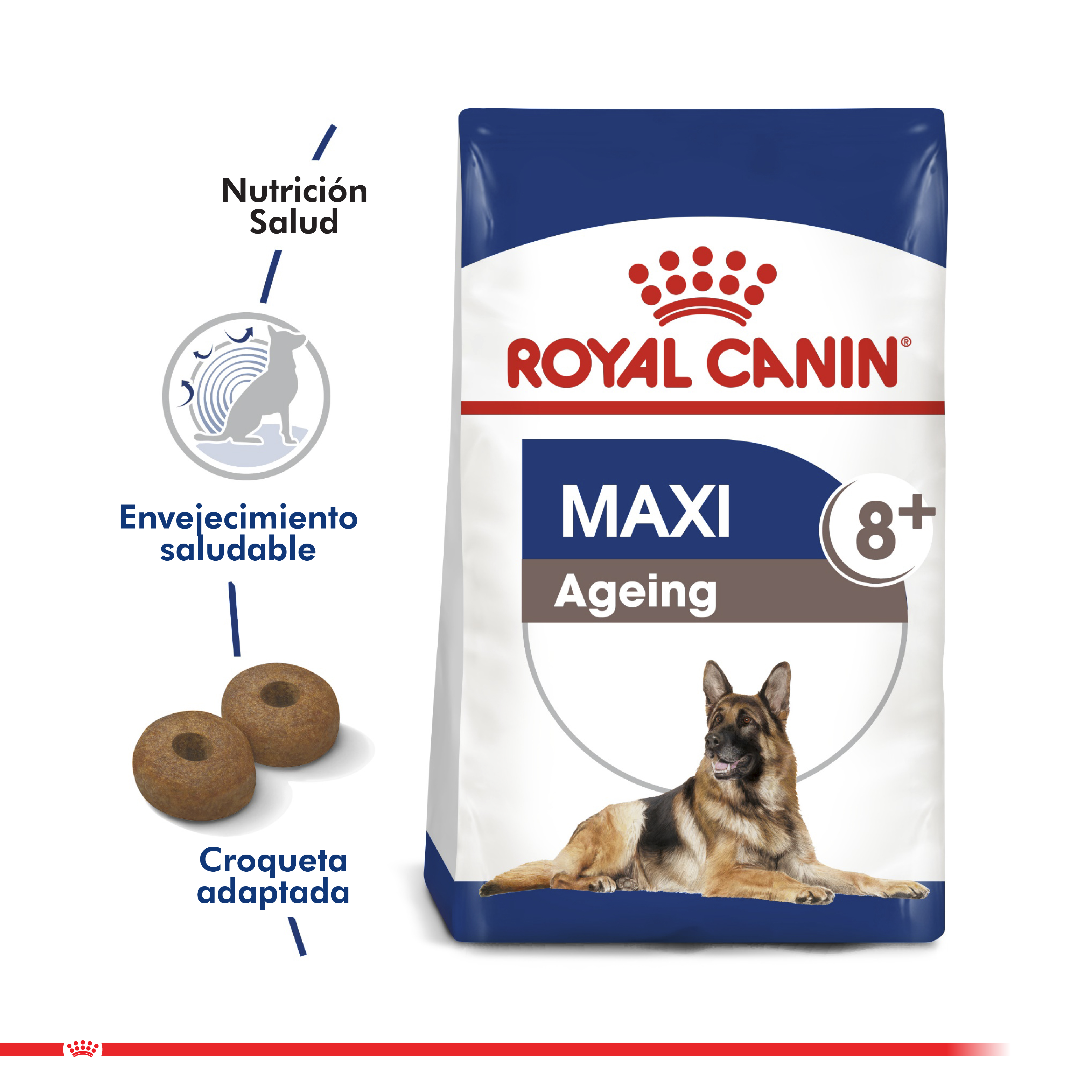 Royal Canin Maxi Ageing 8+ 15 Kg