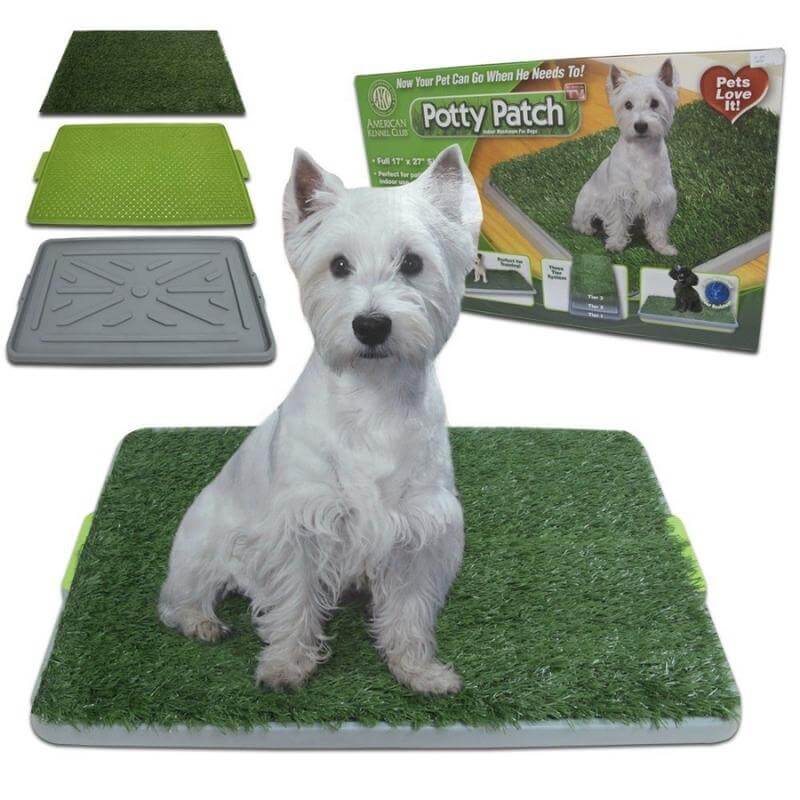 Baño Ecológico para Perro Mediano