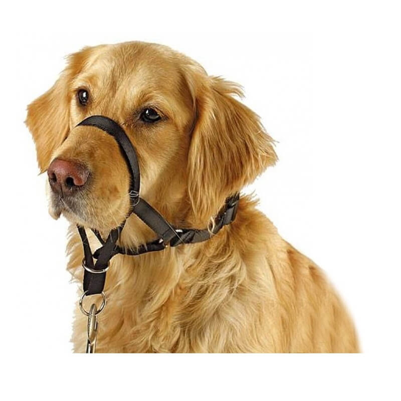 Collar Antitirones M Marben