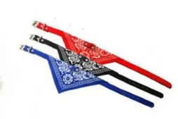 Collar Bandana 30 X 1 Cm T-S 1 Unidad