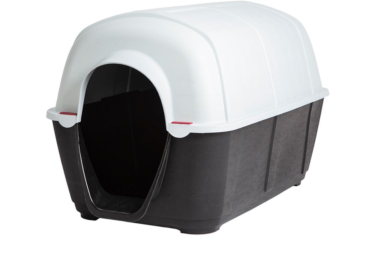 Casa Perro New Desde