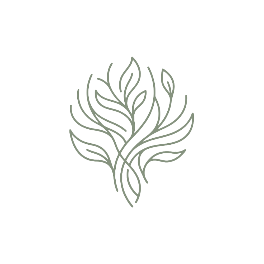 Plantas Pelumpen | Vivero Online