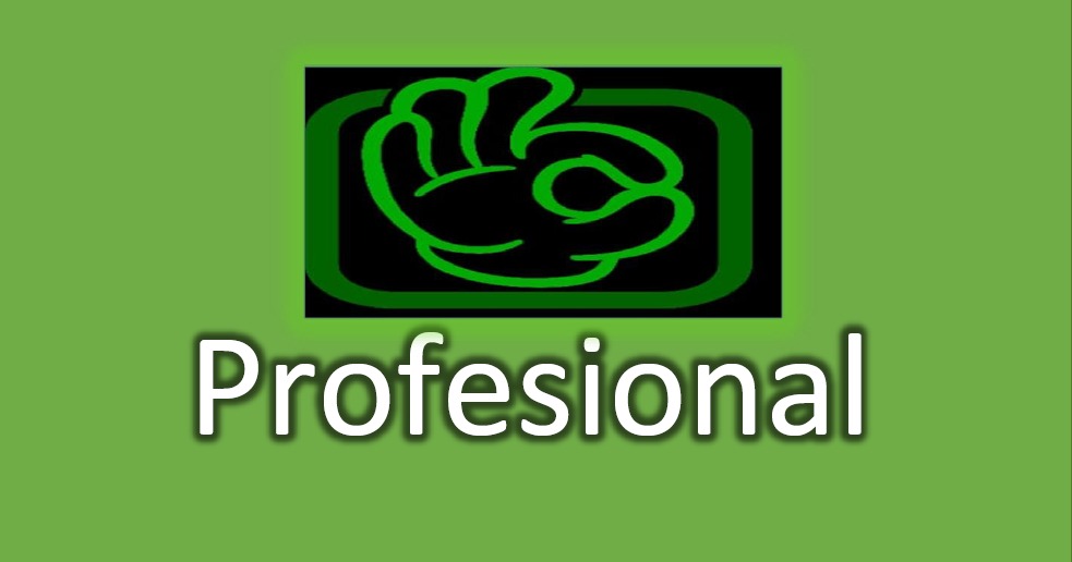 Profesional