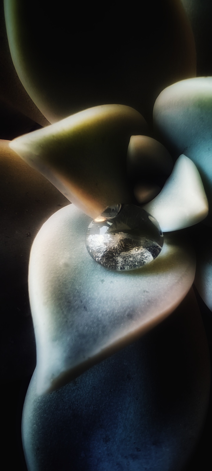Progressivart