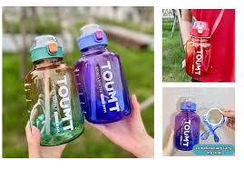 BOTELLA TOUMT DE LITRO