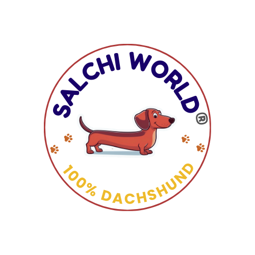 Salchi World - De todo... pero de dachshund!