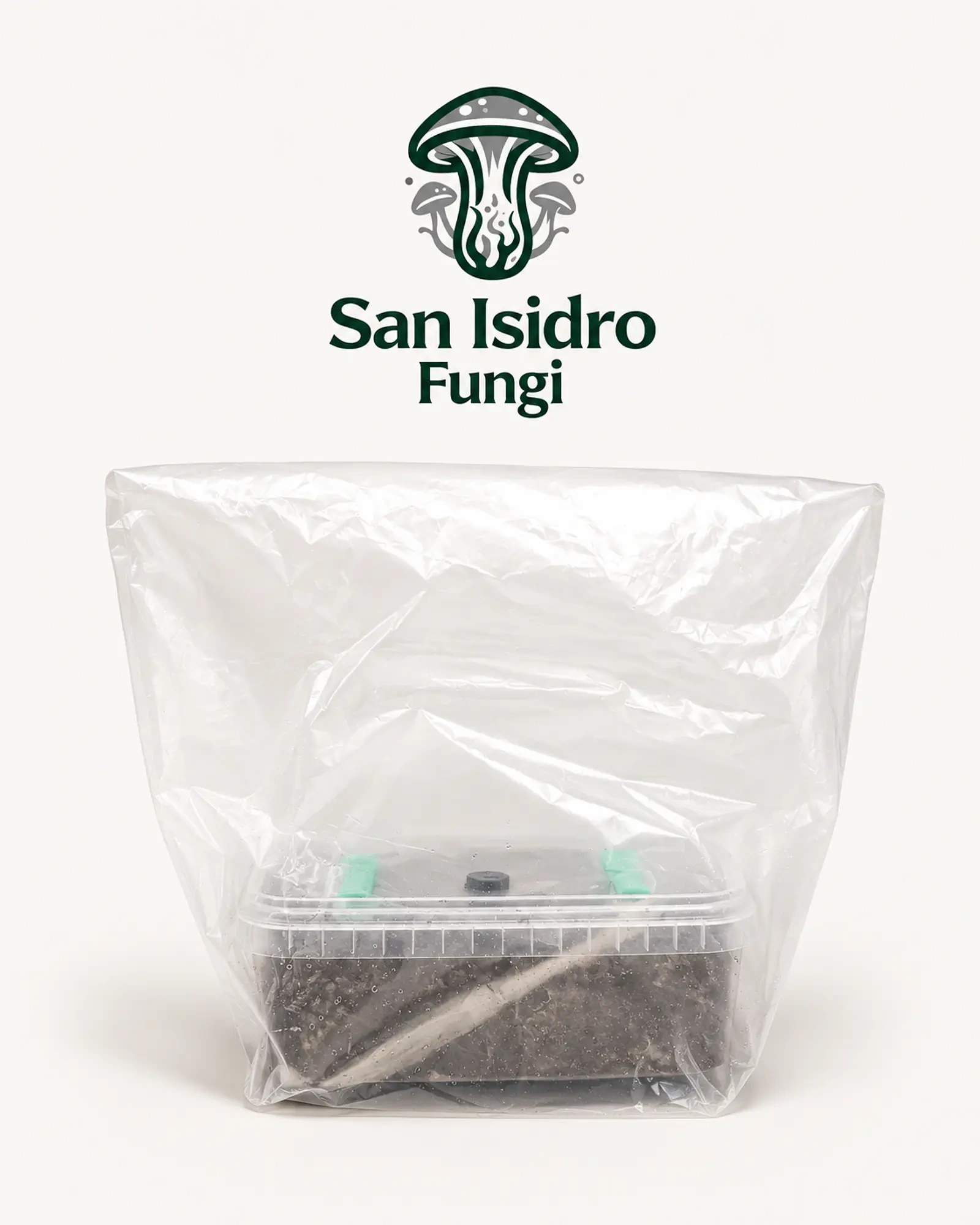 Kits de cultivo de hongos San Isidro