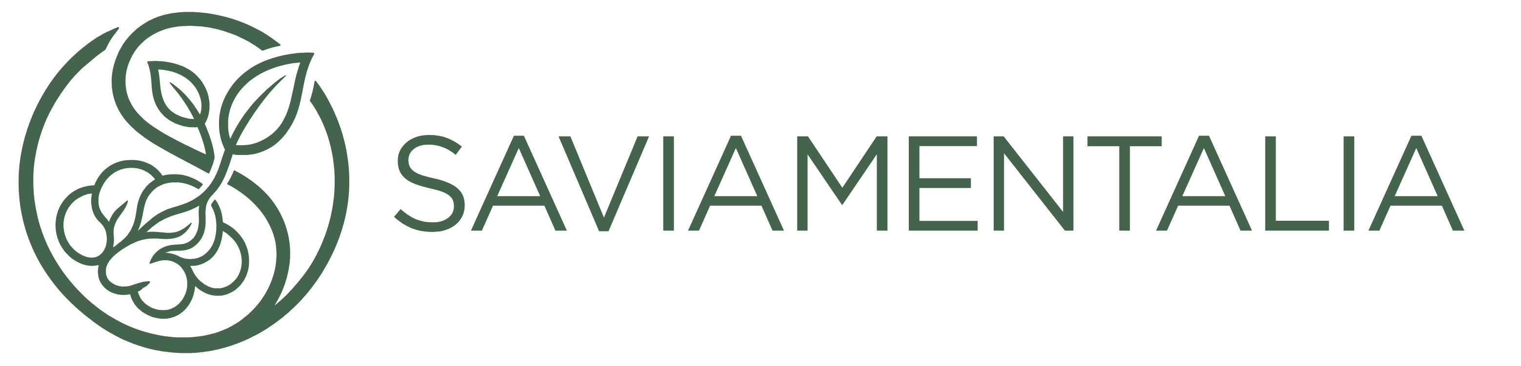 Saviamentalia