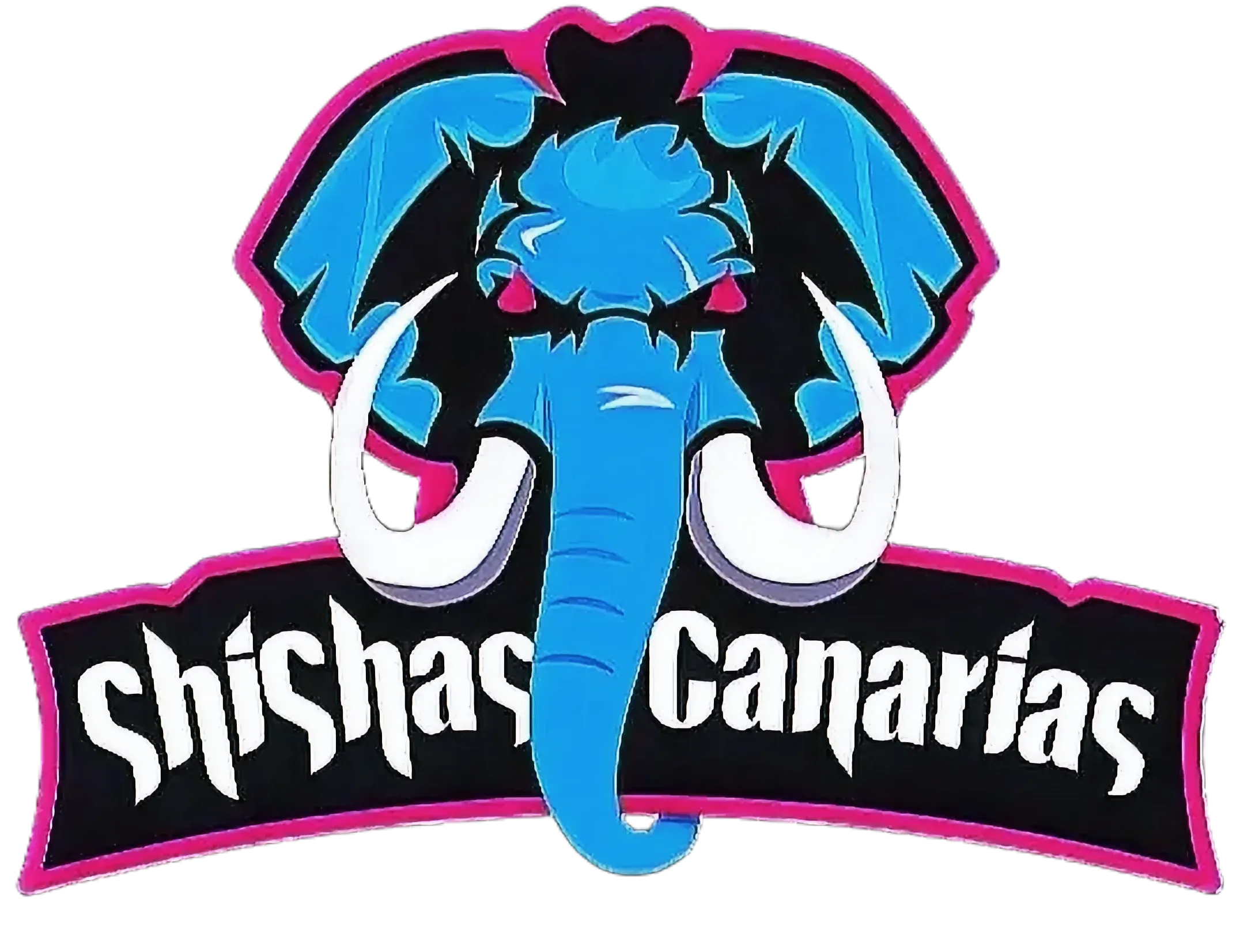 SHISHASCANARIAS