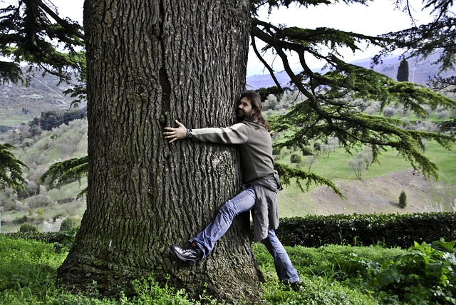 Los Beneficios de Abrazar un Arbol