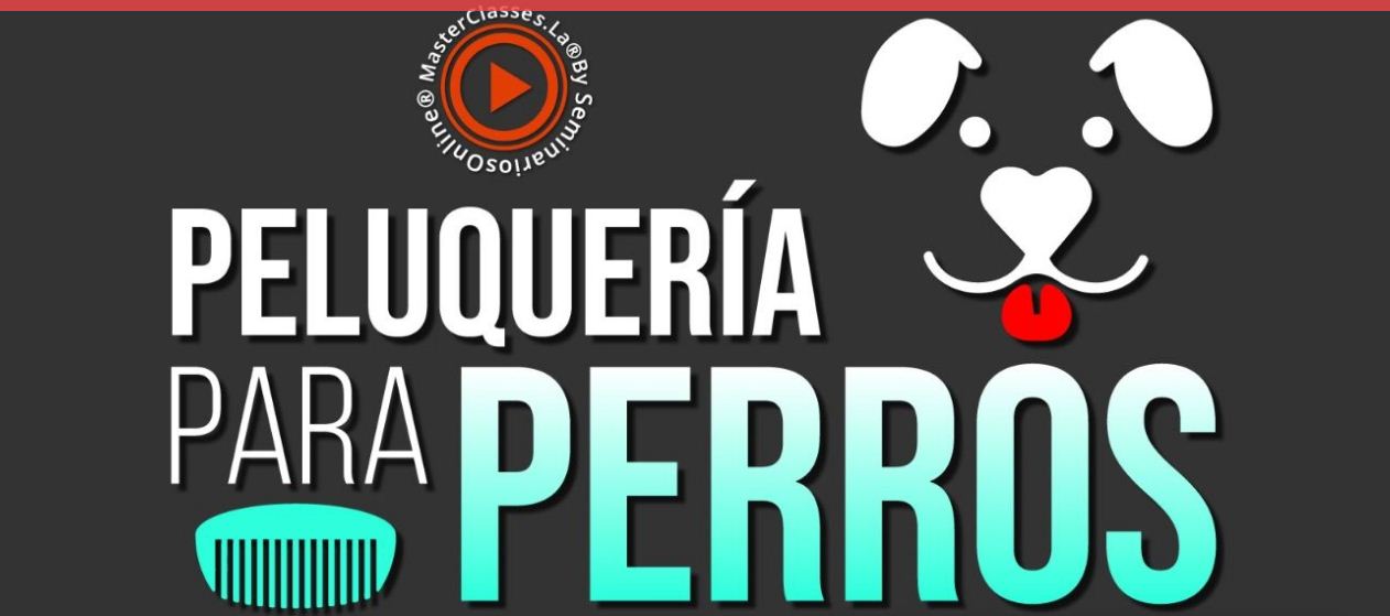PELUQUERIA PARA PERROS