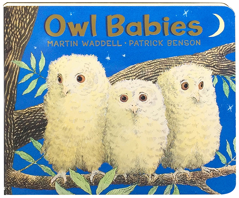 Owl Babies