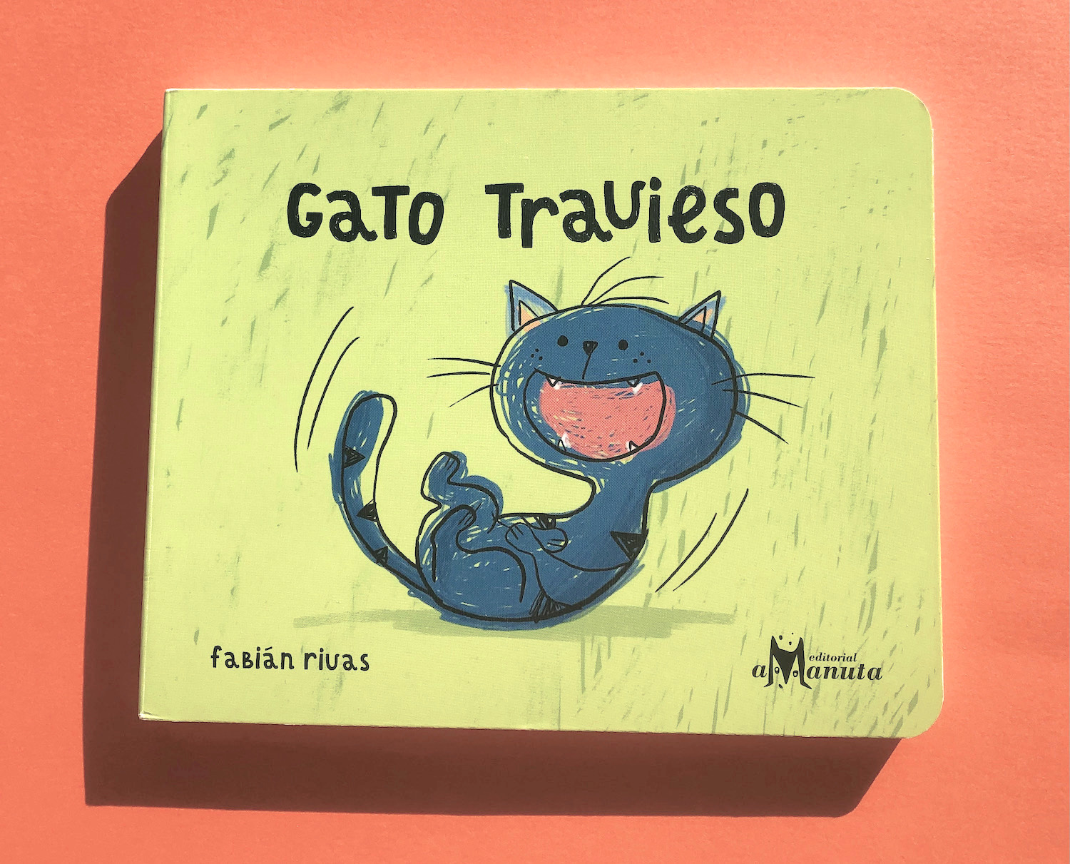 Gato travieso