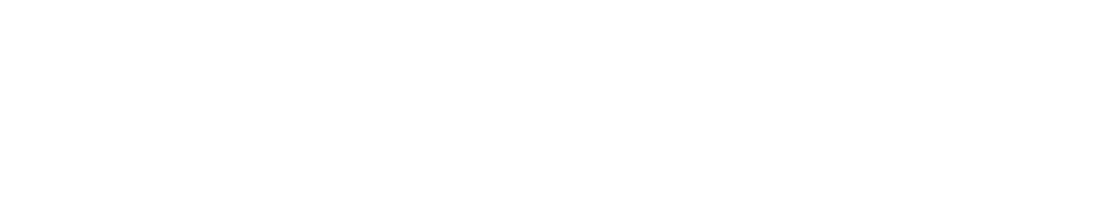 VELOCE